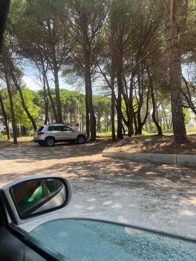 Villa Roel 2 Apartments Nr 88 Avlonya Dış mekan fotoğraf